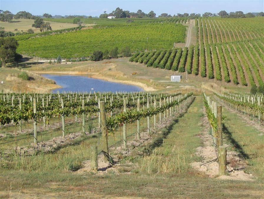 Bellevue Bed & Breakfast Mclaren Vale Dış mekan fotoğraf